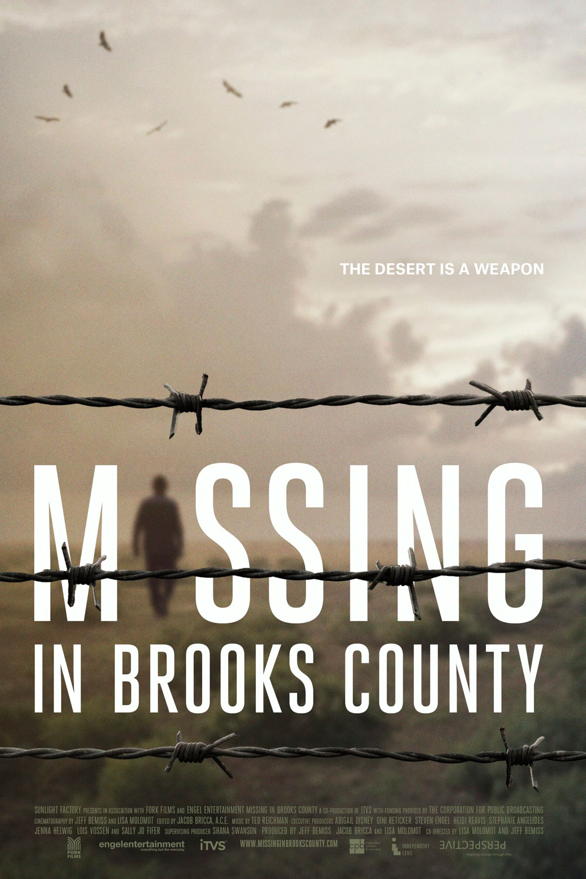 missing_in_brooks_county