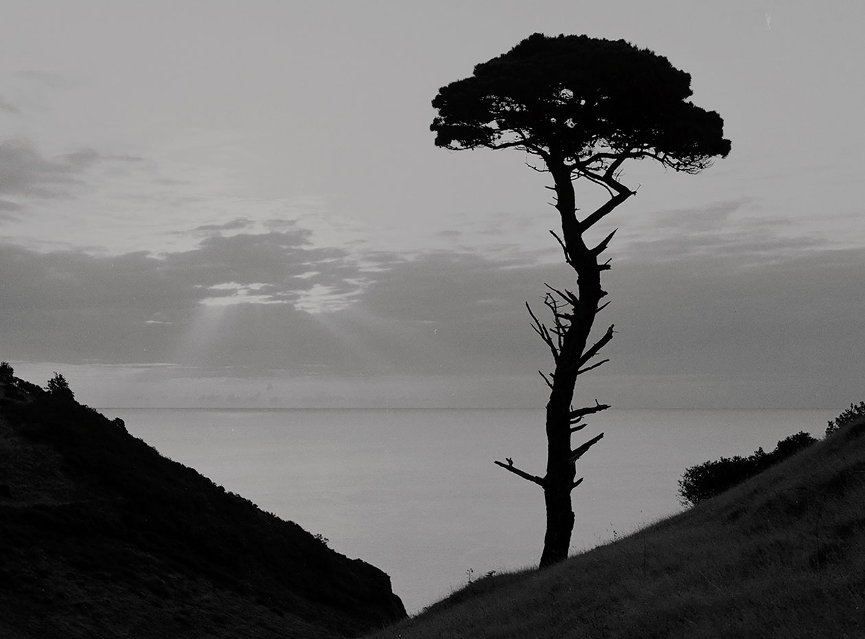 fairyfield_still