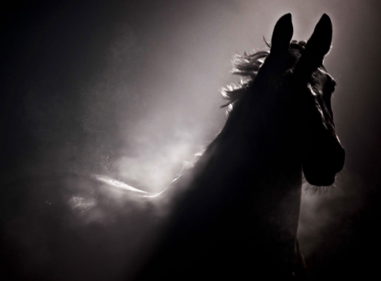 soulhorse_still